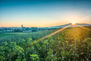 Morgenstimmung in Eugendorf © TVB Eugendorf