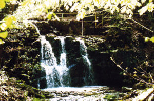 Wildkarwasserfall am Teufelsgrabenbach/Gemeinde Seeham in der Nähe der Kugelmühle und Röhrmoose-Getreidemühle © Gemeinde Seeham