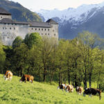 Burg Kaprun © TV Kaprun