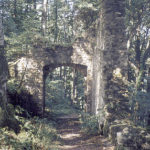 Reste der bedeutenden Burganlagen © Bundesdenkmalamt