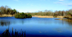 Bürmooser Moor © R. Kaiser