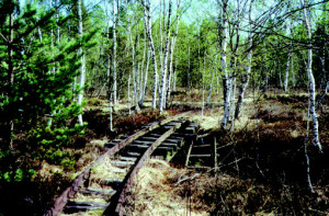 Stillgelegte Feldbahnstrecke (Spur 600) © C.-D. Hotz
