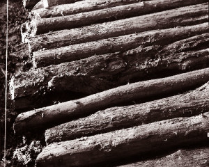 Teile des keltischen Bohlenwegs (ca. 600 v. Chr.) © Bayerisches Moor- und Torfmuseum/ Rottau