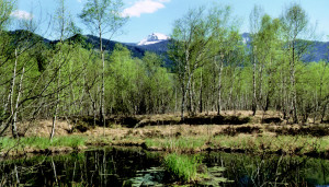 Egerndacher Filzen © Landratsamt Traunstein