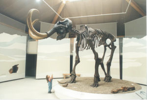 Mammutmuseum Siegsdorf © R. Darga / Gemeinde Siegsdorf