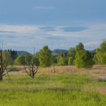 Weidmoos © Popp-Hackner Photography