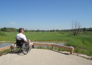 Barrierefreier Aussichtshügel im Weidmoos © M. Fischer