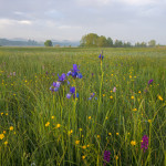 Wenger Moor © Popp-Hackner Photography