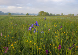 Wenger Moor © Popp-Hackner Photography