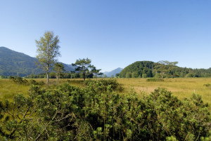 Bergener Moos © Ökomodell Achental