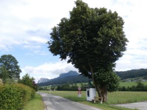 Der Weg zu den Mühlen am Brunnbach in Thalgau © Franz Fuchs